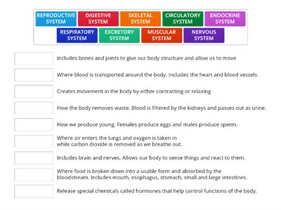 Human Body Systems REVIEW