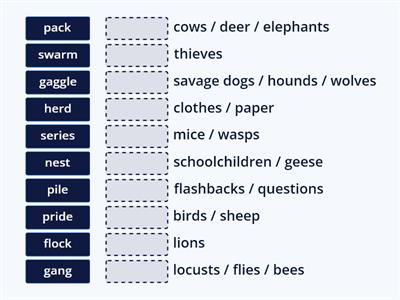 Collective nouns