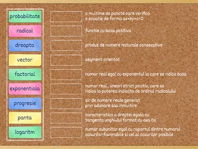 notiuni matematice