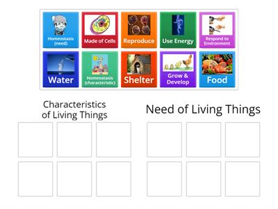Characteristics and Needs of Living Things