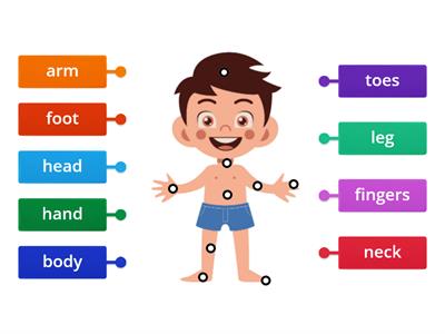 parts of the body