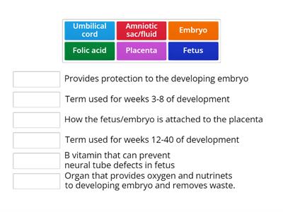 Developing embryo match cards