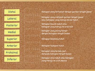 SAINS SUKAN T4 : UNIT 3.1 Satah dan Pergerakan Asas