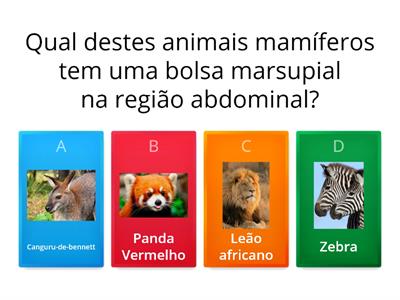 Quiz - animais