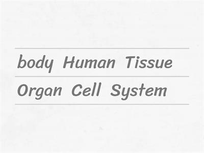 Intro to cell