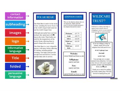 Features of a Leaflet (Labelling) 