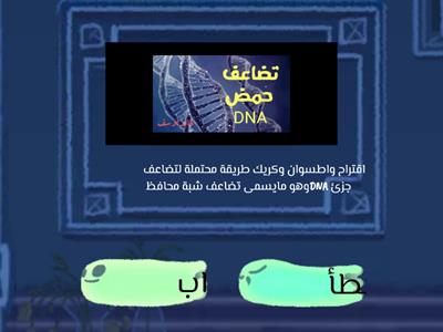 تضاعف DNA