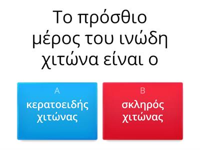 Ανατομία οφθαλμού