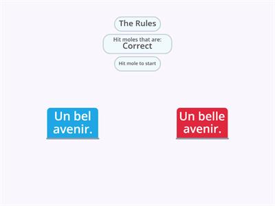 Choisissez les phrases correctes (orthographe des mots ; accords...).