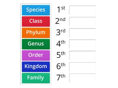 Classification Taxonomy