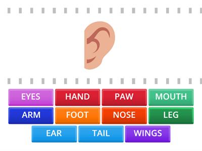 Body parts (pets)