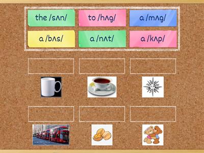 A1. Single-Syllable Words by Vowel Sounds: /ʌ/ as in "cup"