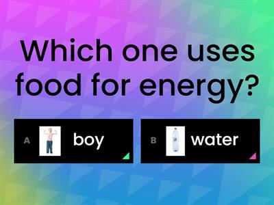Food Energy.  What uses food for engergy?