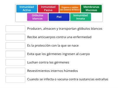 Partes y tipos del sistema inmune