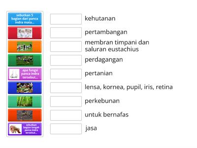 jenis bidang usaha masyarakat Indonesia