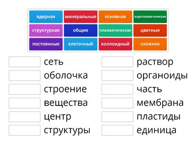 НСР 2 Строение клетки (Раннева, 53)