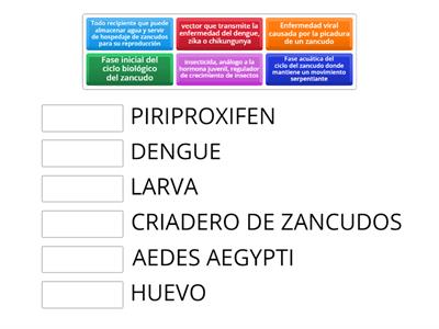 MIS SABERES PREVIOS SOBRE EL DENGUE