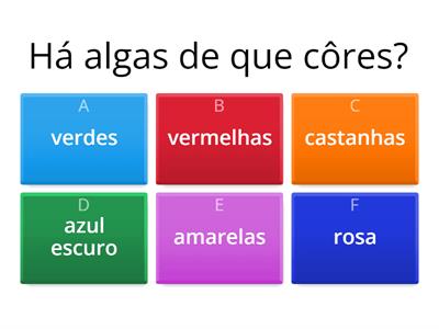 Acha que sabe tudo sobre ALGAS?