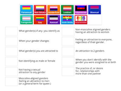 LGBTQIA+ Match up!