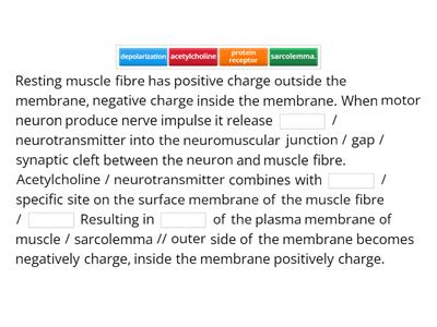 Describe the events that occur when a resting skeletal muscle is stimulated by a motor neuron.