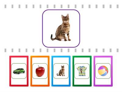 Preschool Special Education - Match The Same Pictures