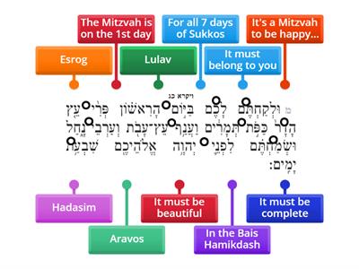 What Do We Learn from the Pasuk? U'likachtem - Mishnayos Sukkah - Perek 3