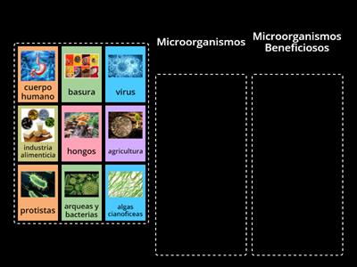 microbiología