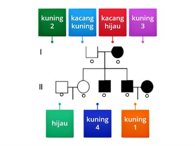 Menentukan Pewarisan Sifat