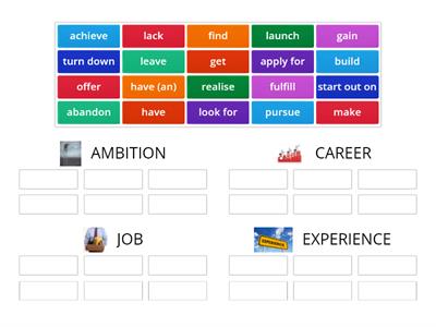 AMBITION, CAREER, EXPERIENCE AND JOB COLLOCATIONS