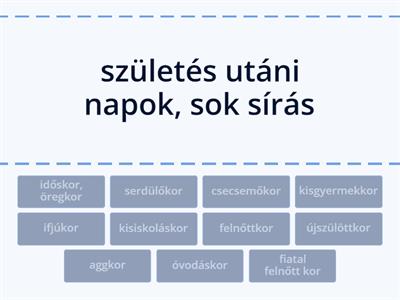 Az emberi élet szakaszai - Mely szakaszra jellemző?