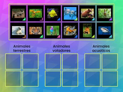 animales