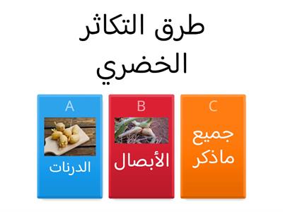 التكاثر بالأبصال 