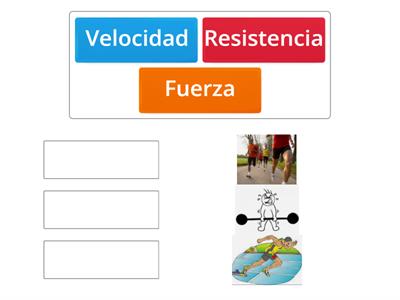 Relacionamos las capacidades  físicas básicas