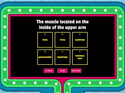 Muscles quiz