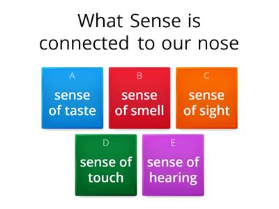 Different Senses 