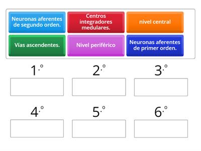 VIAS DE TRASMISION  Y MODULACION DE DOLOR