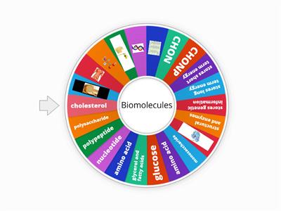 Biomolecules