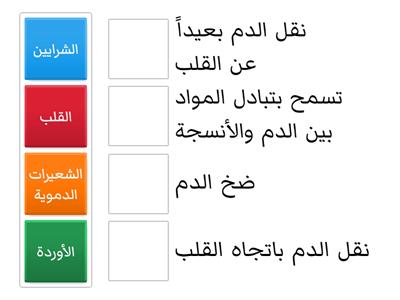 وظائف أجزاء الجهاز الدوري