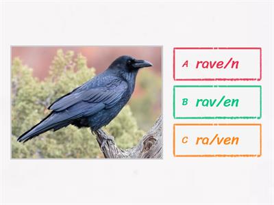 V/CV First syllable open