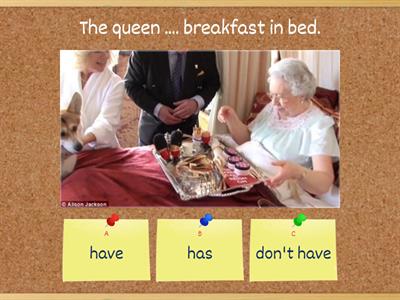 Check upon the queen's routine - GiveMe5 :-)