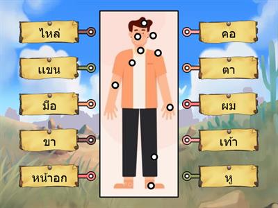 จับคู่ร่างกาย ม.1-3 สุขศึกษา