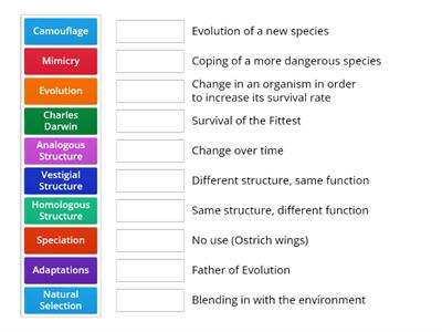 EVOLUTION (SCIENCE 10)
