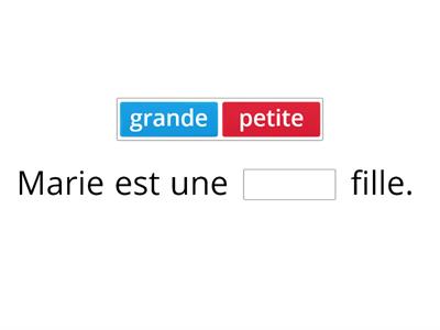 Choisis le bon mot: Où est mon chien?