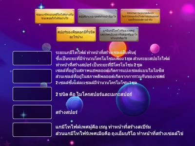 Topic Question เรื่อง วัฏจักรชีวิตของพืชดอก