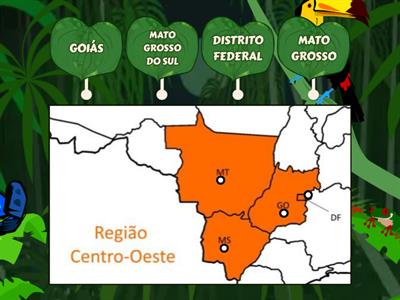 REGIÃO CENTRO OESTE