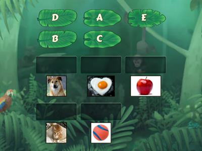 Wordwall Alphabet - Teaching Resources