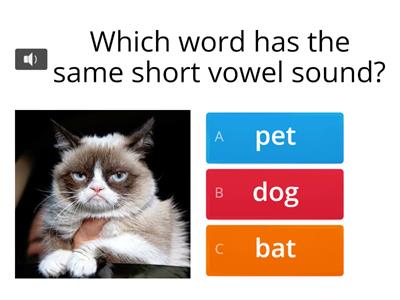 Short Vowel Sounds 