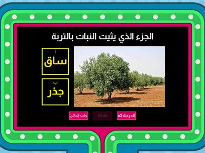  أجزاء النبات - اختر الإجابة الصحيحة                       (إعداد المعلمة تسنيم يوسف)