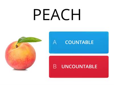 COUNTABLE AND UNCOUNTABLE NOUNS