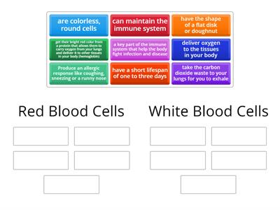 Red VS. White Blood Cells